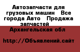 Автозапчасти для грузовых машин - Все города Авто » Продажа запчастей   . Архангельская обл.